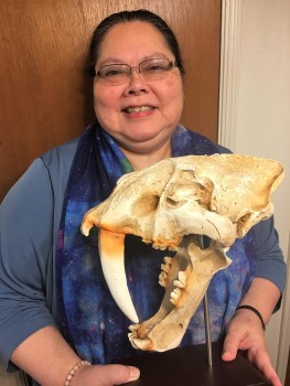 Julie Smilodon cataloging