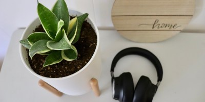 Plant and Headphones