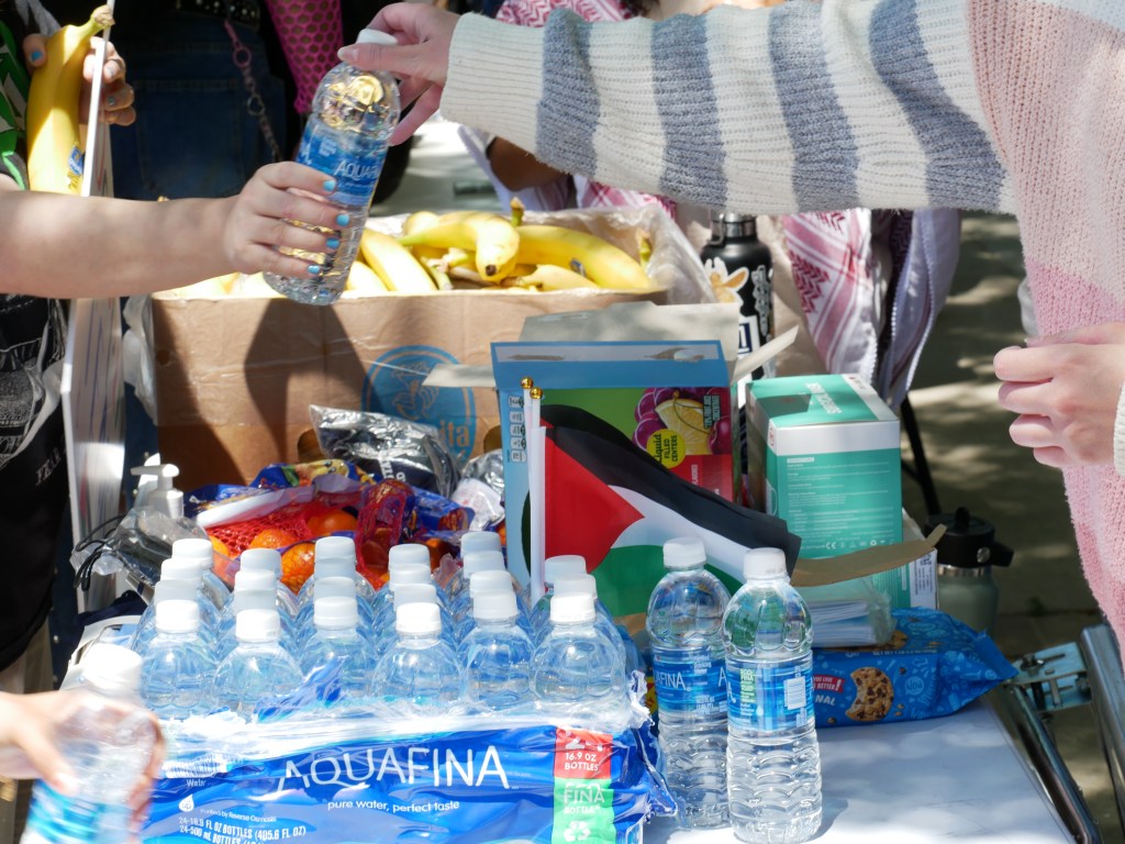 Supplies for  Sit-in for Palestine peaceful demonstration - May 1, 2024 at Fresno State's Free Speech Area. Photo: Tyler Lovejoy